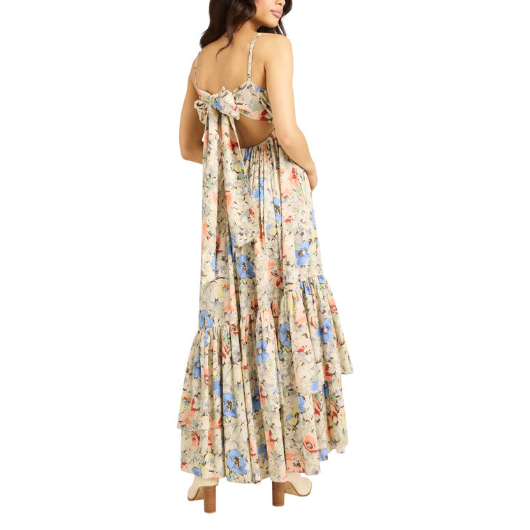 Painted Garden Hailey Dress image number null