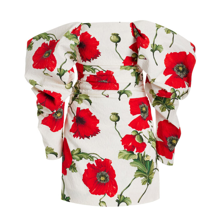 Poppy Print Off Shoulder Mini Dress image number null